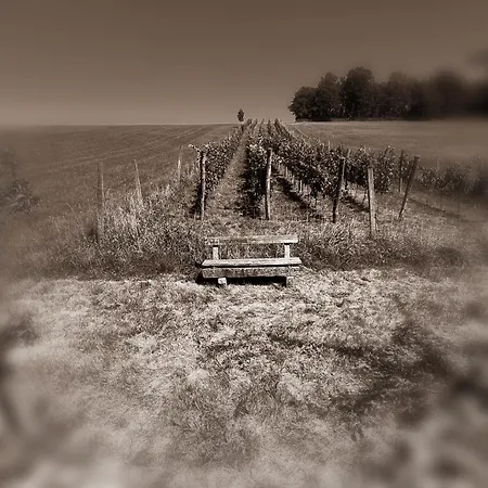 Ξενοδοχείο Osternacherhof