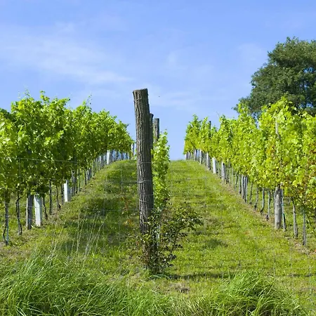 Osternacherhof Osternach