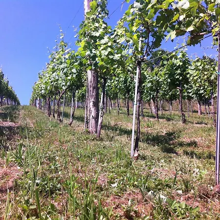 Ξενοδοχείο Osternacherhof Osternach