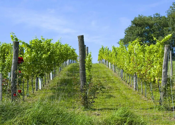 Osternacherhof Osternach