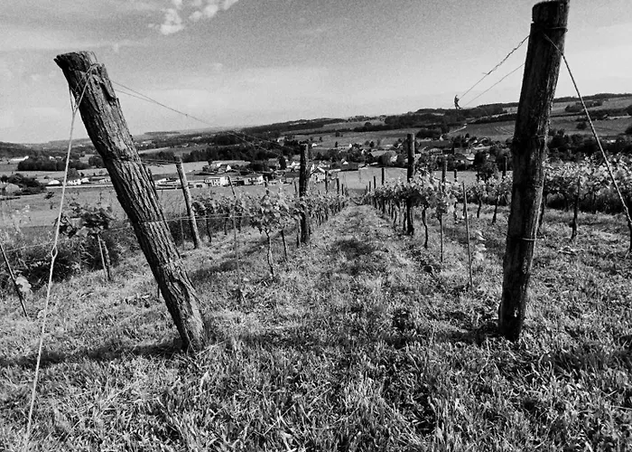 Otel Osternacherhof 3*