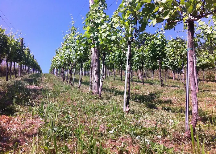 Otel Osternacherhof Osternach