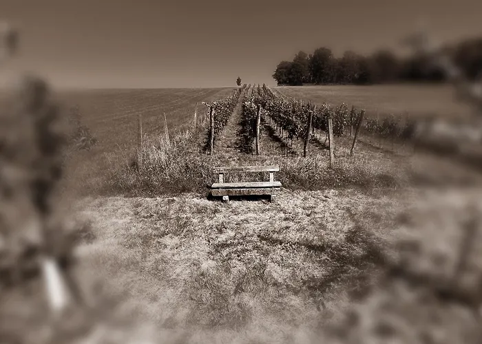 Hotell Osternacherhof